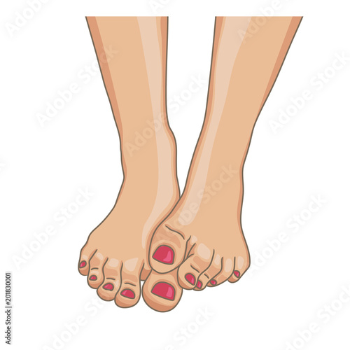 Female feet, barefoot, front view. One foot lying on the other. Toenails with pedicure. Vector illustration, hand drawn cartoon style isolated on white.