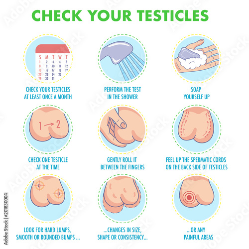 Testicles self exam. Testicle cancer symptoms and monthly examination infographics. Vector icon set.I Illustration for flyers, brochures, web resources, health centers.

