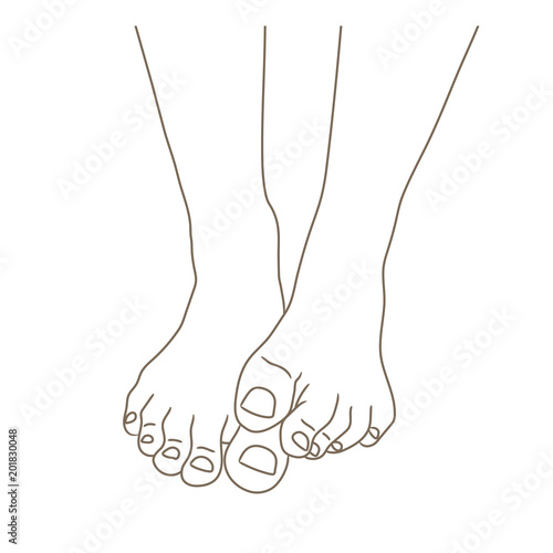 Female feet, barefoot, front view. One foot lying on the other. Healthy toenails. Vector illustration, hand drawn cartoon style isolated on white.