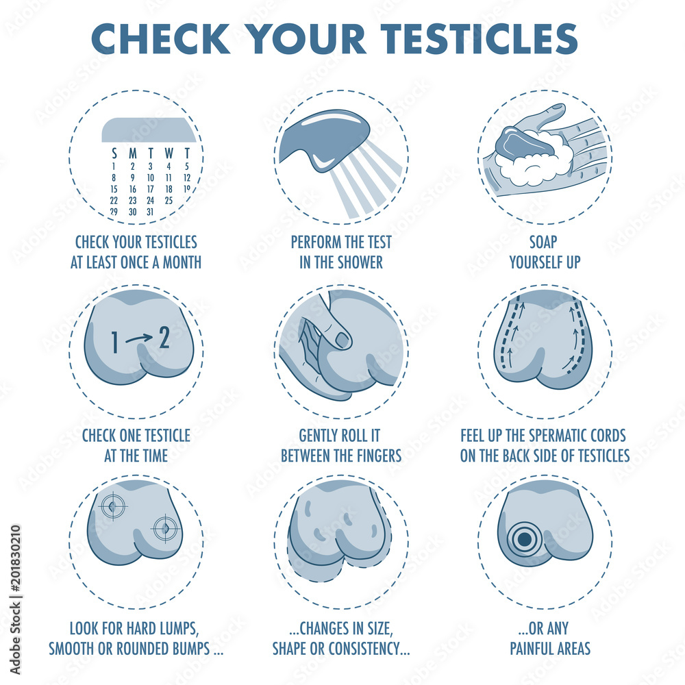 Papier peint Testicles self exam