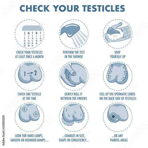 Testicles self exam. Testicle cancer symptoms and monthly examination infographics. Vector icon set.I Illustration for flyers, brochures, web resources, health centers.
