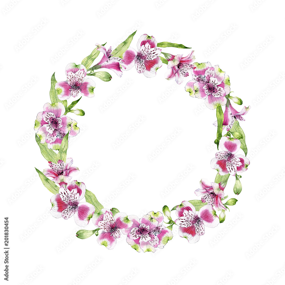 hand drawn watercolor wreath of flowers of Alstroemeria