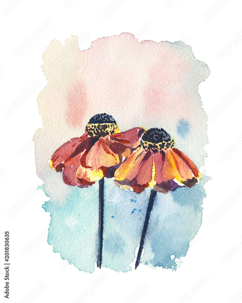 Naklejka Dwa jasne pomarańczowe kwiaty na delikatnym tle, w stylu akwareli.