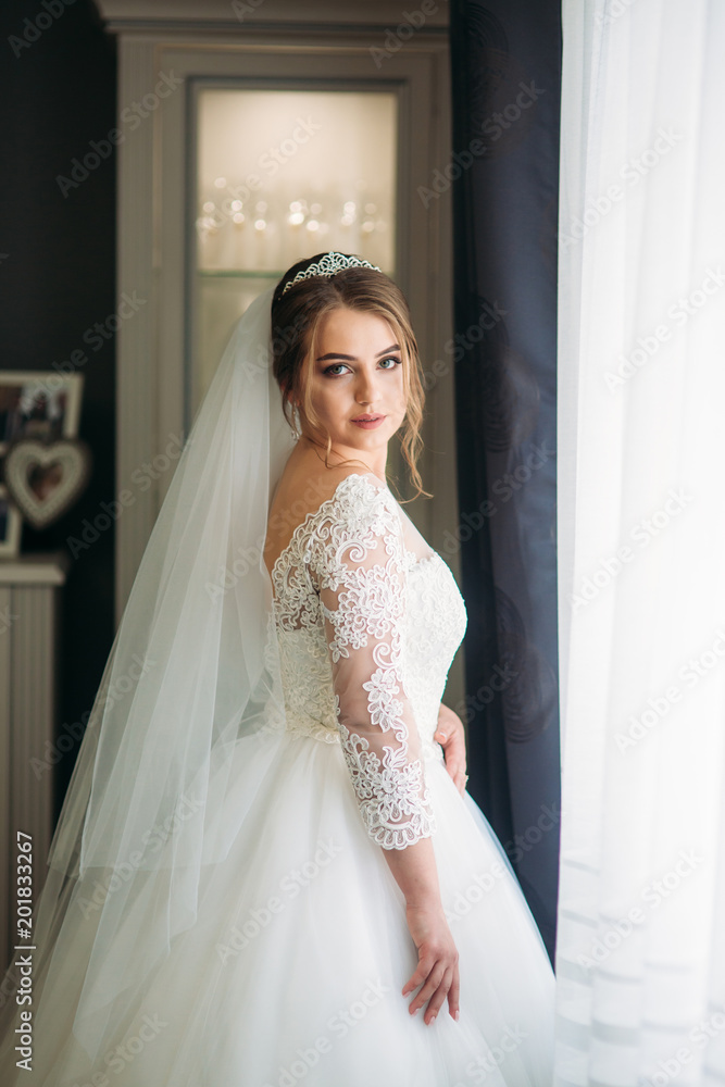 Portrait of a bride in a wedding dress. The bride dresses in the hotel. Portrait of a bride in a wedding dress. The bride dresses in the hotel.