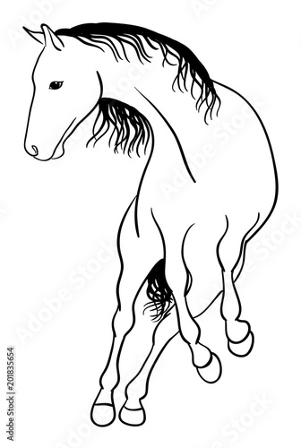 Horse line art 03. Good use for symbol  logo  web icon  mascot  sign  or any design you want.