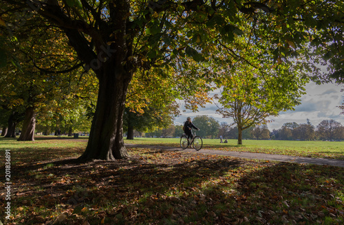 Sticker Autumn on Ealing Common