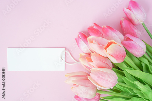 close up on group of pink petal tulip flowers blossom with blank whit pink color background for design concept