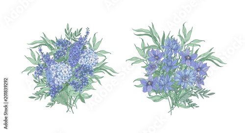 Set of elegant bouquets made of beautiful blue wild blooming flowers and flowering herbs isolated on white background. Bundle of floral decorations or design elements. Botanical vector illustration.