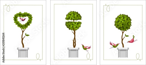 set of topiary cards