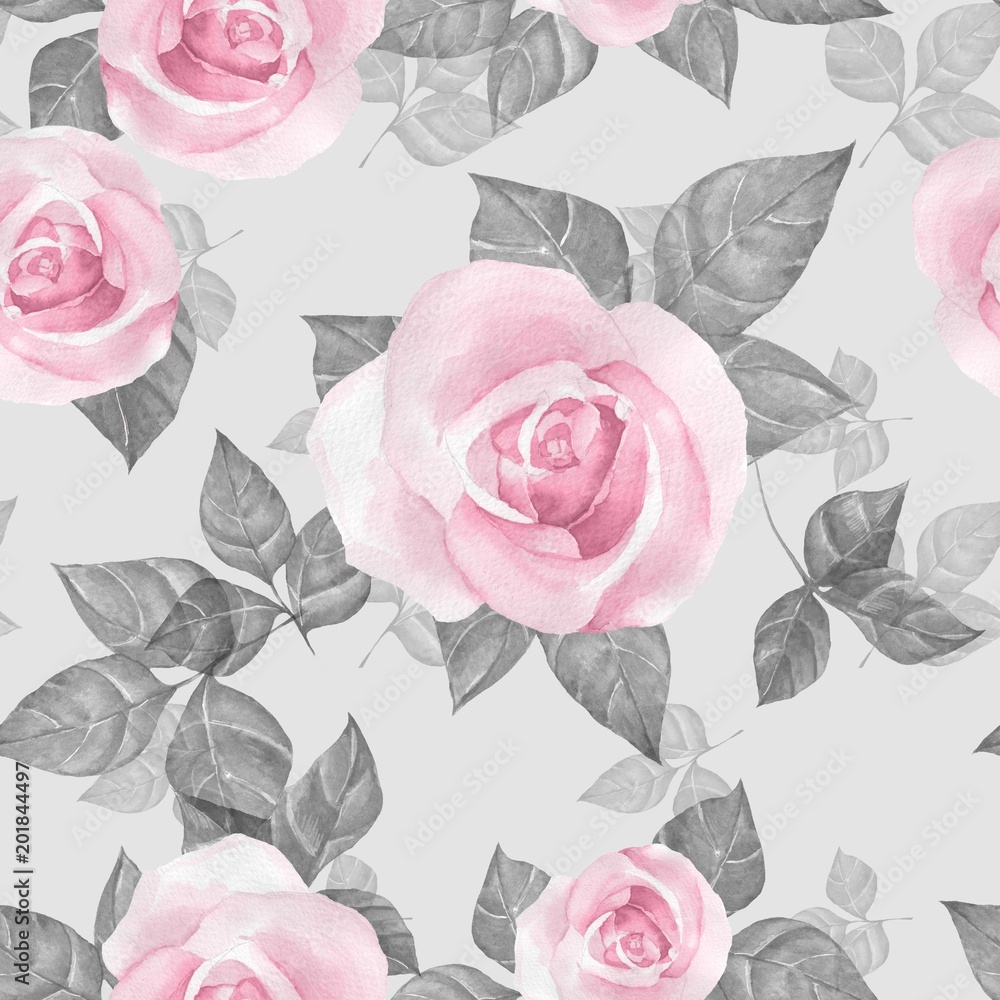 Fototapeta Różowe róże malowane farbami akwarelowymi