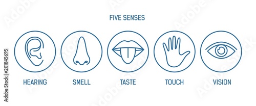Collection of 5 senses - hearing, smell, taste, touch, vision. Bundle of human sensory organs drawn with contour lines inside round frames. Monochrome vector illustration in modern lineart style.