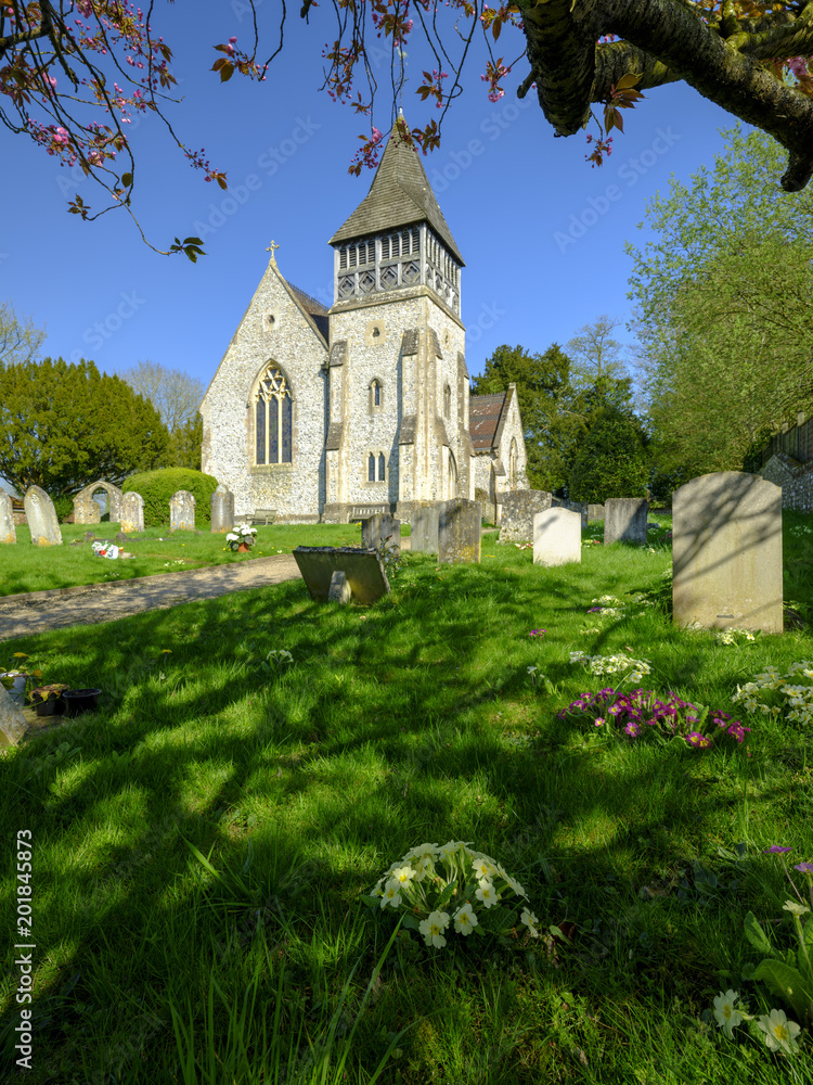 Afternoon sunlight and spring flowers in a view of St Peters Church, Ovingtion, Hampshire, UK