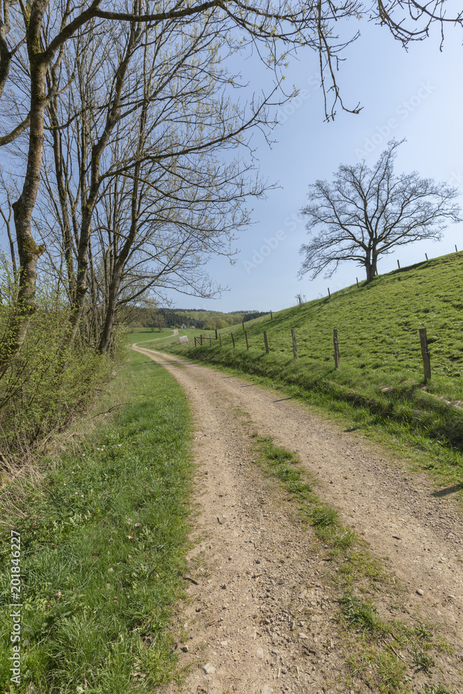 Wanderweg in idyllischer Landschaft Wanderweg in idyllischer Landschaft