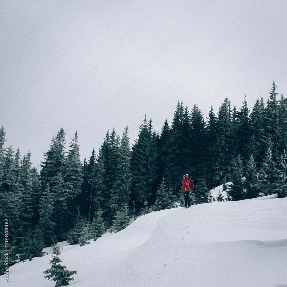 Male tourist walking in mountain winter forest in cloudy day
