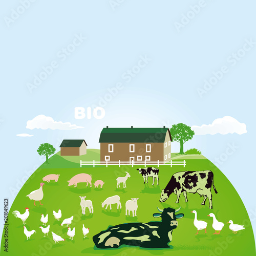 Bio Bauernhof mit Weide