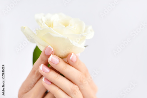 Hands of a woman with beautiful french manicure and white rose