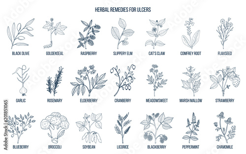Best medicinal herbs for ulcers