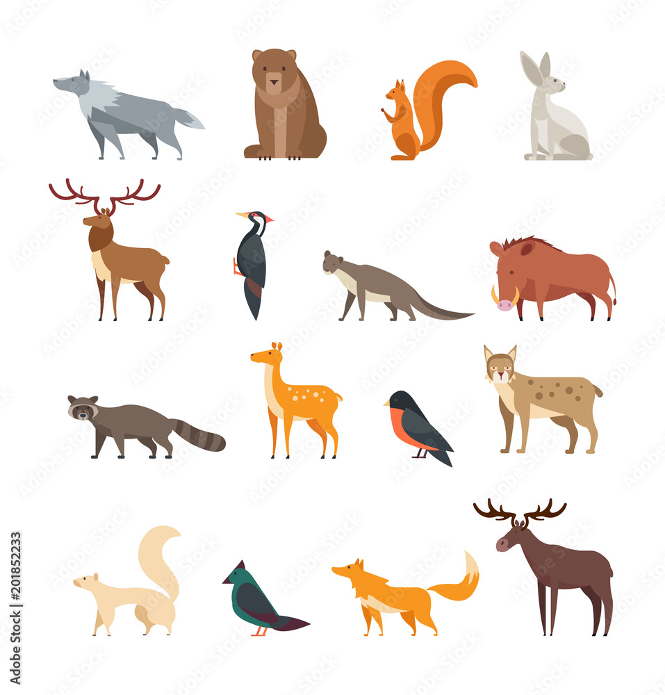 Fototapeta premium Forest wild animals and birds cartoon vector set isolated. Flat deer, bear, rabbit, squirrel, wolf, fox, raccoon, owl