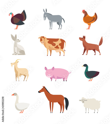 Cartoon farm animals and birds vector set isolated. Sheep, goat, cow, donkey, horse, pig, duck, goose, rooster and rabbit