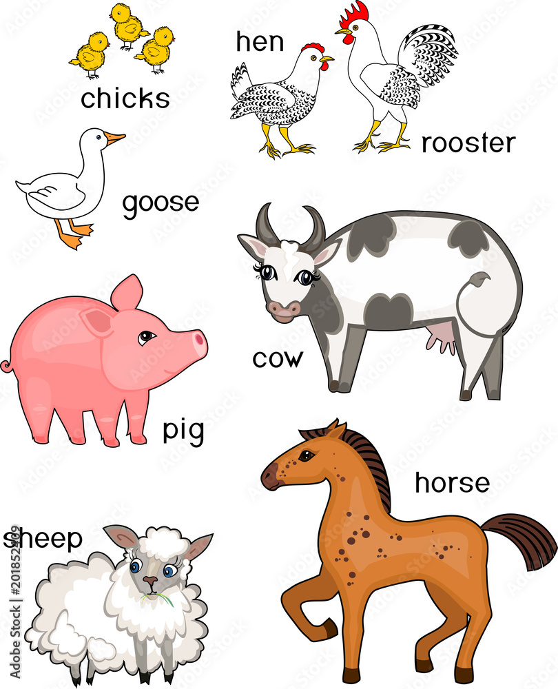Set of different cartoon farm animals with titles on white background
