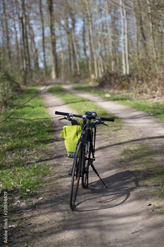 Fahrradtour über Waldwege in Schleswig Holstein