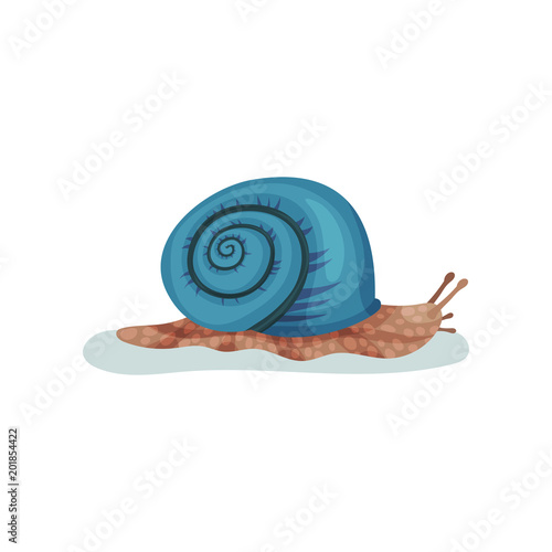 Snail gastropod mollusk with blue shell vector Illustration on a white background