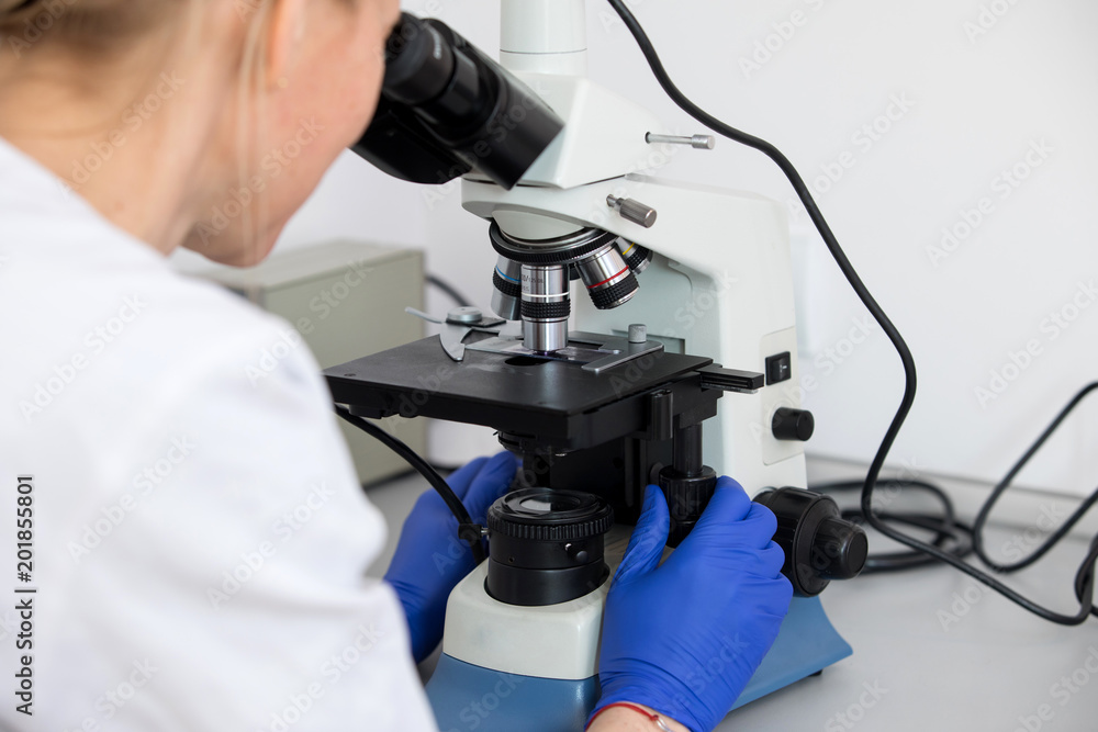 scientist working at the laboratory
scientist working at the laboratory