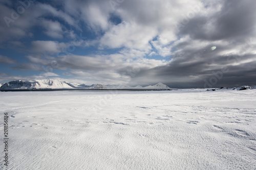 Wiosna w Arktyce © blackspeed