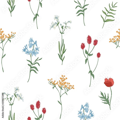 Floral seamless pattern with wild blooming flowers and flowering herbs on white background. Natural backdrop with wildflowers. Elegant vector illustration for wrapping paper, fabric print, wallpaper.