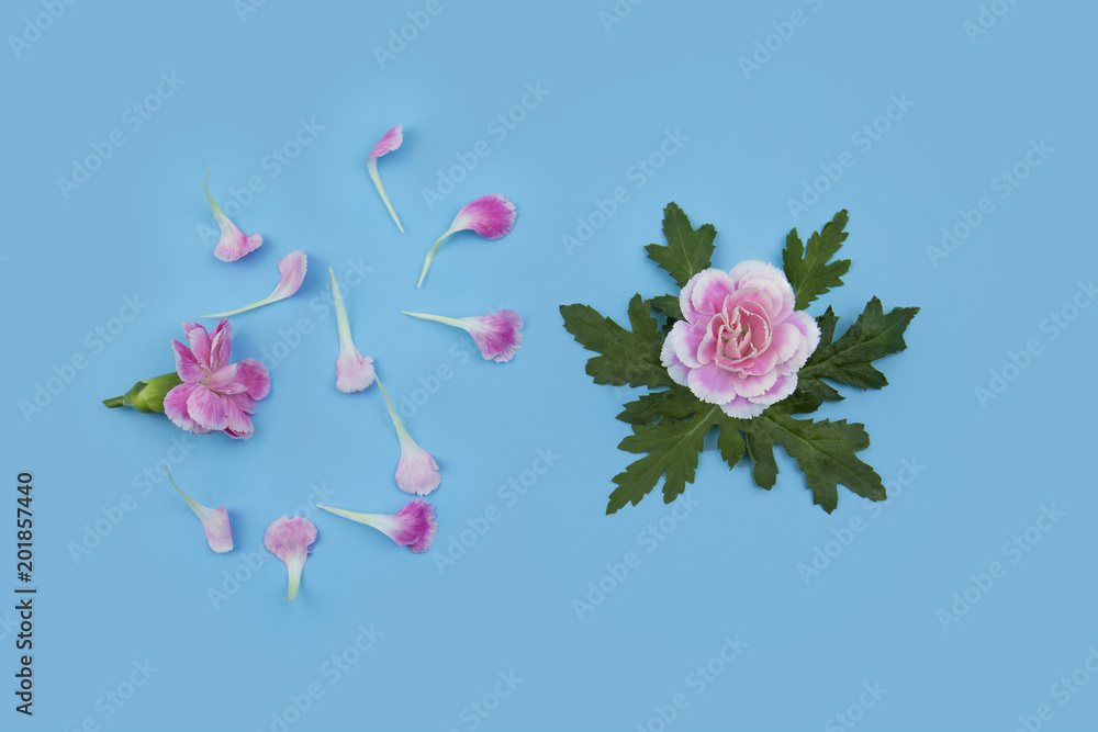 Flower flat lay Flower flat lay