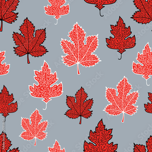 Pattern of the decorative maple leaves