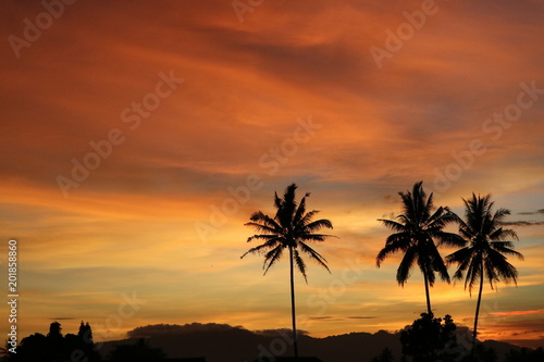 Beautiful Orange Sunset landscape with palm trees