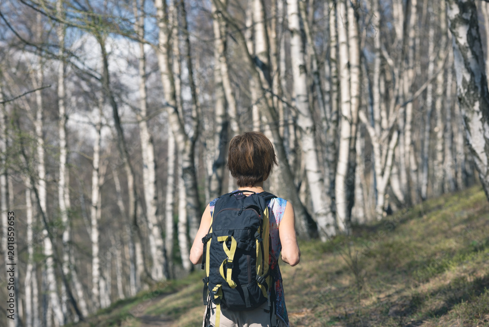Woman hiking in the forest, one person walking in woodland, backpacking summer adventure travel, rear view, toned image Woman hiking in the forest, one person walking in woodland, backpacking summer adventure travel, rear view, toned image
