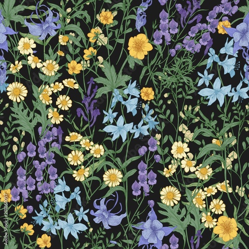 Gorgeous floral pattern with wild blooming flowers and meadow flowering plants on black background. Beautiful backdrop with wildflowers. Elegant vector illustration for wrapping paper, wallpaper.
