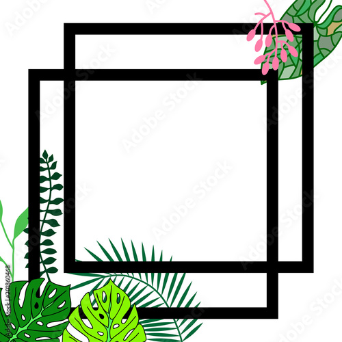  card with frame for dough tropical leaves on white background for advertisement banner signs. photo