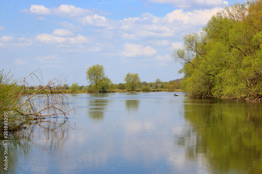 River on a sunny spring day against a blue sky. Natural landscape