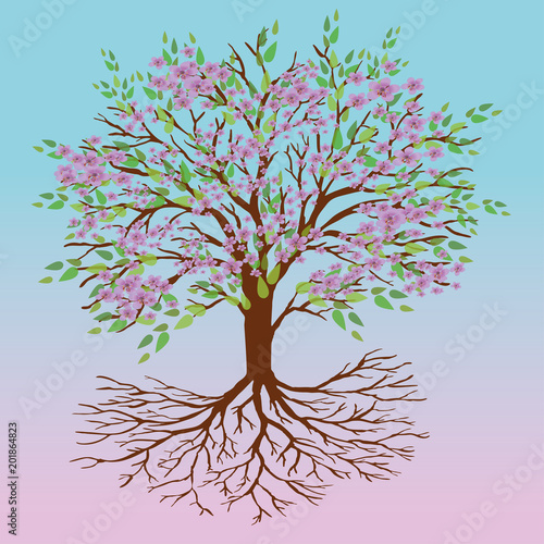 Photography Tree of life spring version