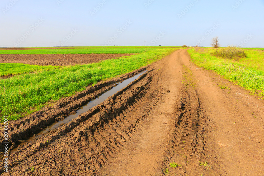 green wheat field and dirt road green wheat field and dirt road
