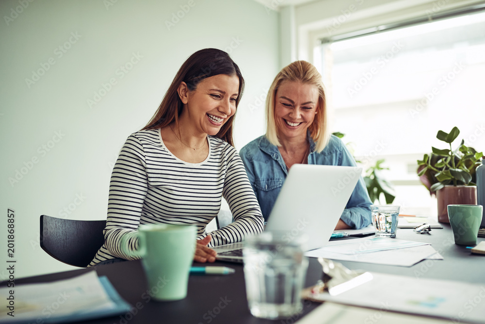 Two smiling businesswomen working online with a laptop together Two smiling businesswomen working online with a laptop together