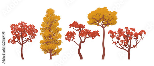 Autumn trees collection