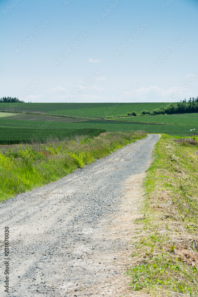 畑の中の砂利道 畑の中の砂利道