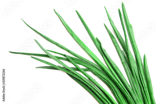 Green onion feathers isolated on white background