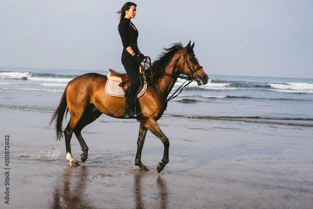 side view of young woman riding horse with ocean behind