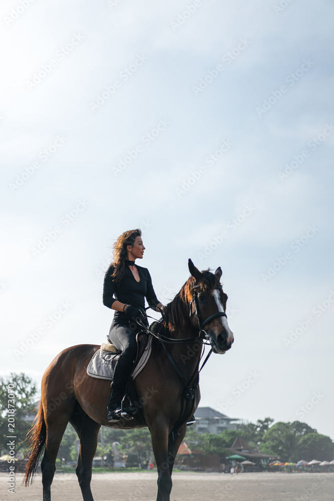 low angle view of female equestrian sitting on horse low angle view of female equestrian sitting on horse