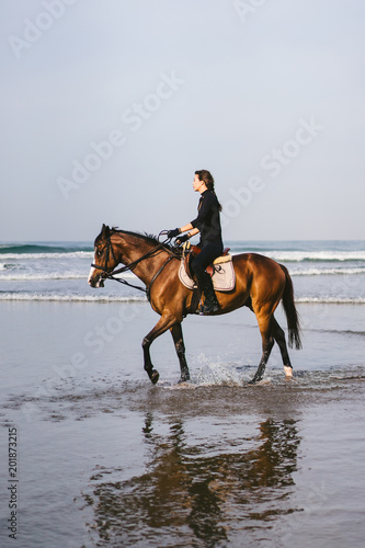 side view of young female equestrian riding horse on sandy beach © LIGHTFIELD STUDIOS
