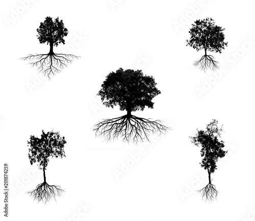 tree silhouettes