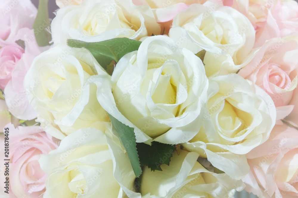 Beautiful flowers as background Beautiful flowers as background