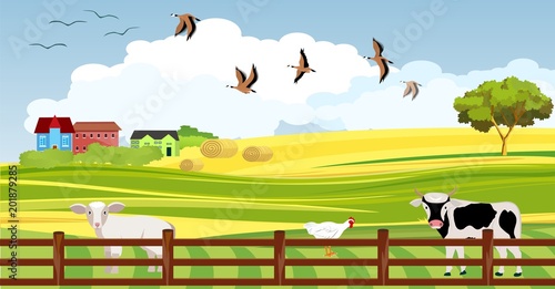 Flat countryside view, green hills and mountains, houses and livestock, vector landscape, cows, sheep, hen