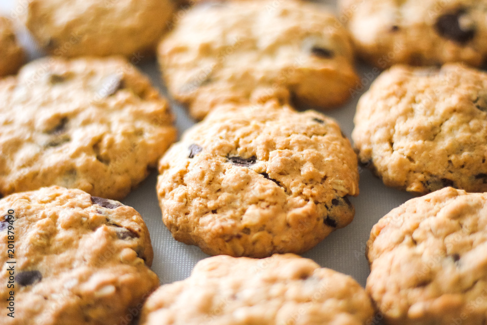 Close up rows of tasty homemade oatmeal cookies with chocolate chips. Brown oatcakes on white table, healthy sweet home-baked products Close up rows of tasty homemade oatmeal cookies with chocolate chips. Brown oatcakes on white table, healthy sweet home-baked products