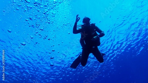 Underwater scenery, silhouette of diver in the deep blue water © Tunatura